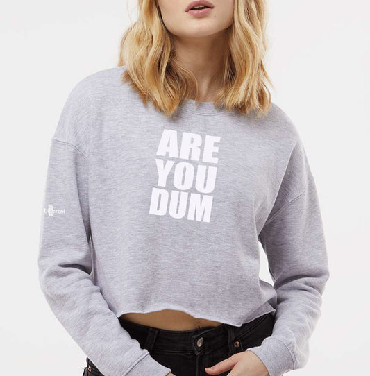 Question Cropped Crewneck Gray